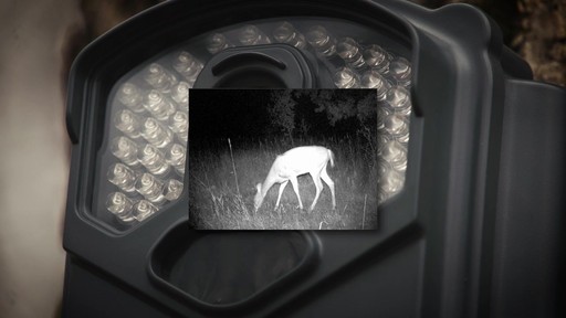 Big Game Eyecon QuickShot Infrared Trail / Game Camera 5MP - image 3 from the video